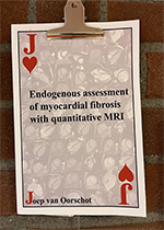 ISBN: 9789039365106 - Title: Endogenous assessment of myocardial fibrosis with quantitative MRI